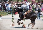 Pferd International 098